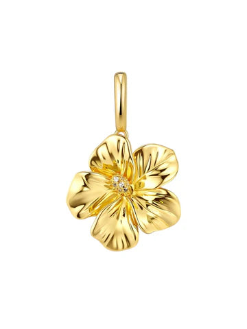 ELEDE CHARMS