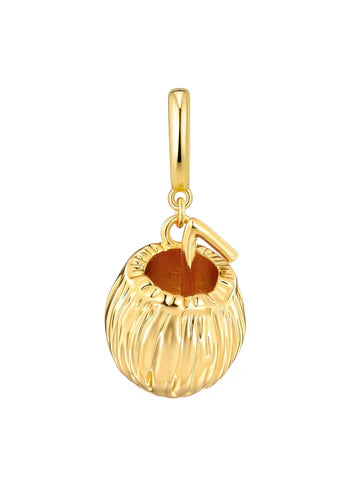 ELEDE CHARMS